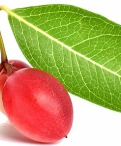 Uitgang ? Solutions Cosmeceuticals All You Need Gezichtscr Me Oogcr Me ECO - 100% Organic - 100% Planet Proof - Biologisch - Creme - Bio ? -Tom Ford Shop 550x301