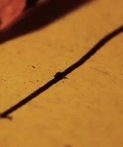 Aanbiedingen ? Seki Edge S-400 Grote Nagelvijl Voor Mannen ⭐ -Tom Ford Shop 550x309 13