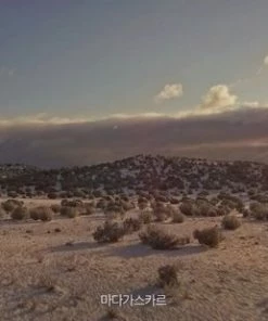 Top 10 ✔️ CAIRSKIN Skin Set: Laneige Lip Berry Mask + SKIN1004 Centella Madagascar Ampoule 100ml - K Beauty Bestsellers - Reduces Redness - Verminderd Roodheid - Huidherstellend - Centella Asiatica - Lip Masker Balsem - Gevoelige Huid Skin Serum Geschenkset ❤️ -Tom Ford Shop 550x309 30