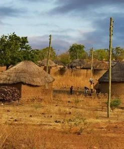 Coupon ? Berivita Aloë Vera Poeder 100% Zuiver 100gr Van Aloë Vera Bladeren ? -Tom Ford Shop 550x366 21