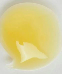 Coupon ? The INKEY List Retinol Serum 30ml - Gezichtsverzorging ? -Tom Ford Shop 550x545 13