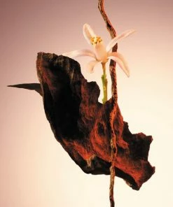 Beste recensies van ✨ HUGO BOSS - Boss The Scent Le Parfum For Her Eau De Parfum - 30 Ml - Eau De Parfum ? -Tom Ford Shop 550x550 274