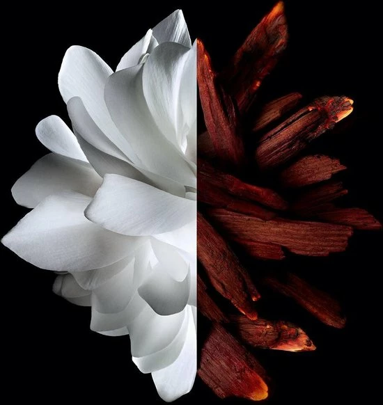 Groothandel ✨ Givenchy L'Interdit Rouge Eau De Parfum 80ml ⌛ 3 Groothandel ✨ Givenchy L'Interdit Rouge Eau De Parfum 80ml ⌛ - Afbeelding 3