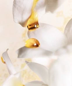 Goedkoopste ? Dior J'adore 150 Ml - Eau De Parfum - Damesparfum ? -Tom Ford Shop 550x594 10