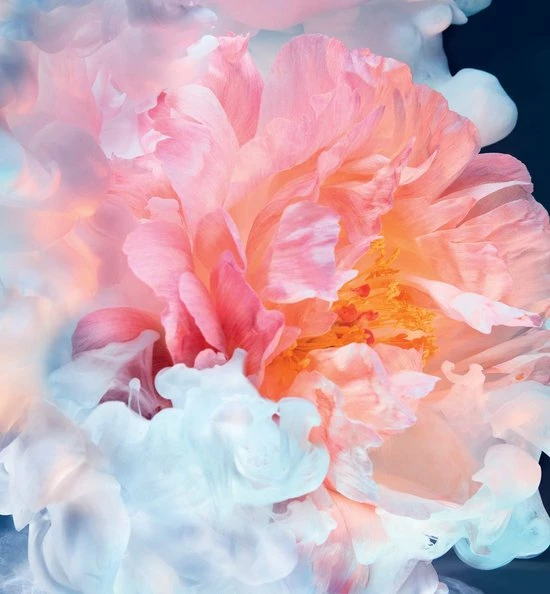 Top 10 ? Dior Joy Intense 50 Ml - Eau De Parfum - Damesparfum ⌛ 4 Top 10 ? Dior Joy Intense 50 Ml - Eau De Parfum - Damesparfum ⌛ - Afbeelding 4